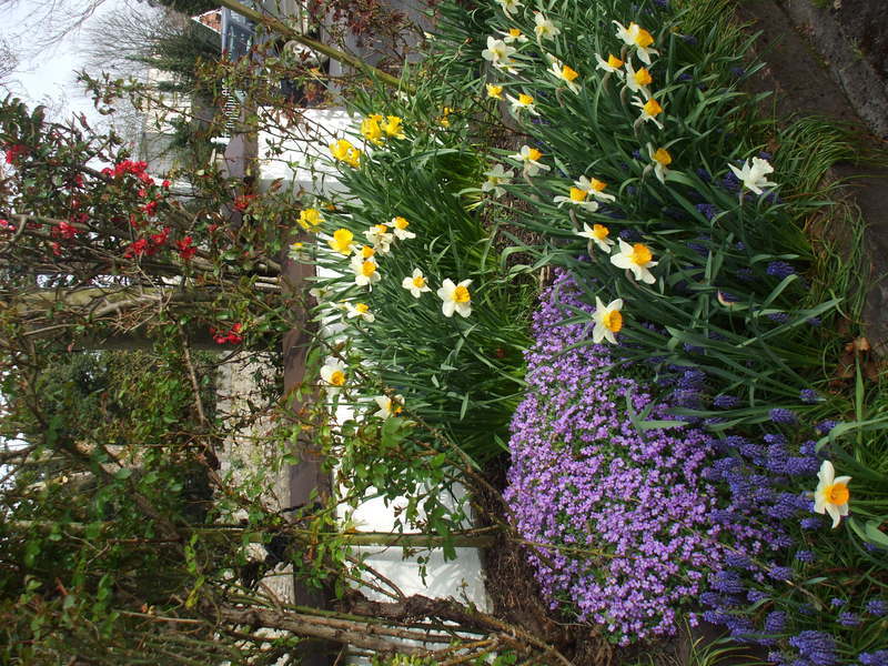 Mena House Hotel Kilkenny Exterior photo