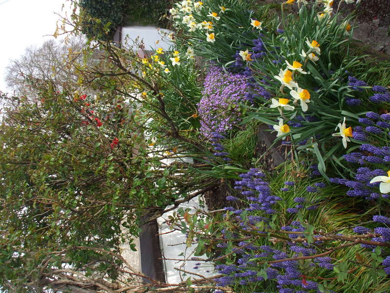 Mena House Hotel Kilkenny Exterior photo